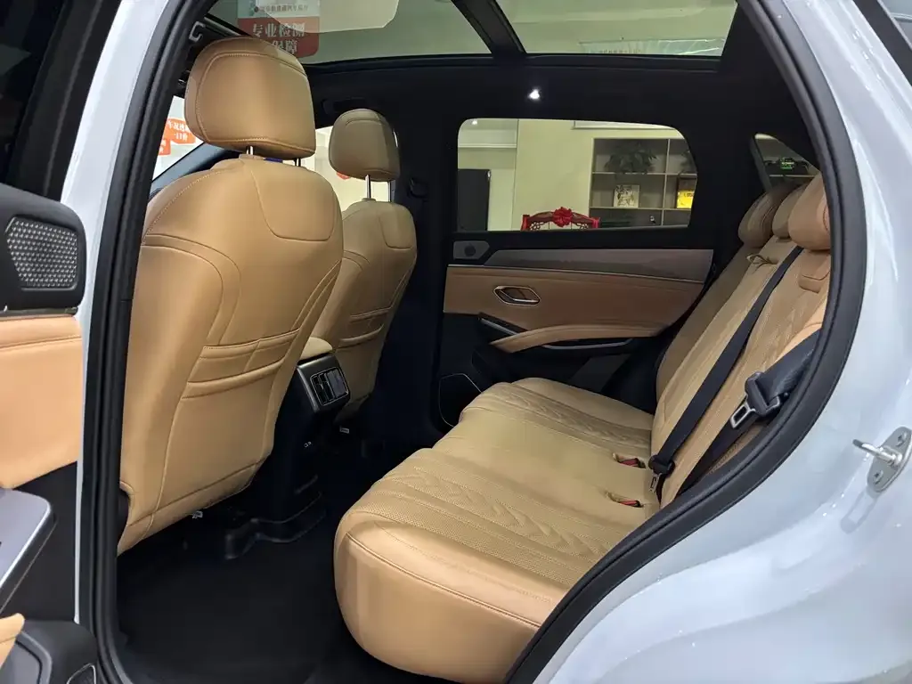 BYD L DM-i — фото 10