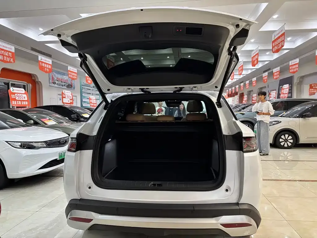 BYD L DM-i — фото 7