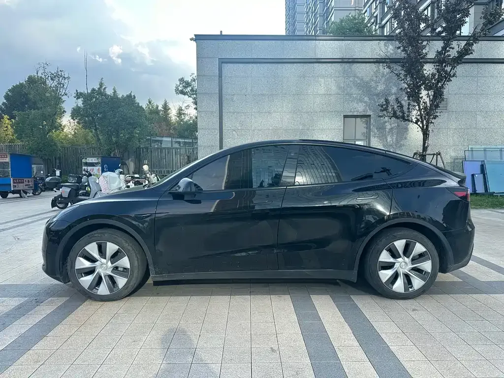 Tesla Model Y — фото 10