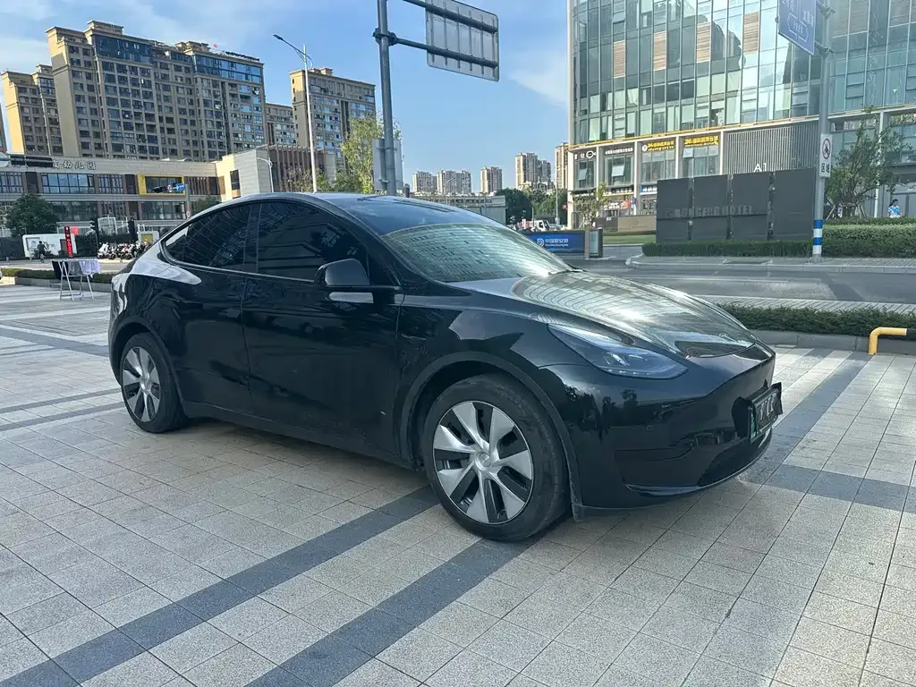 Tesla Model Y — фото 2