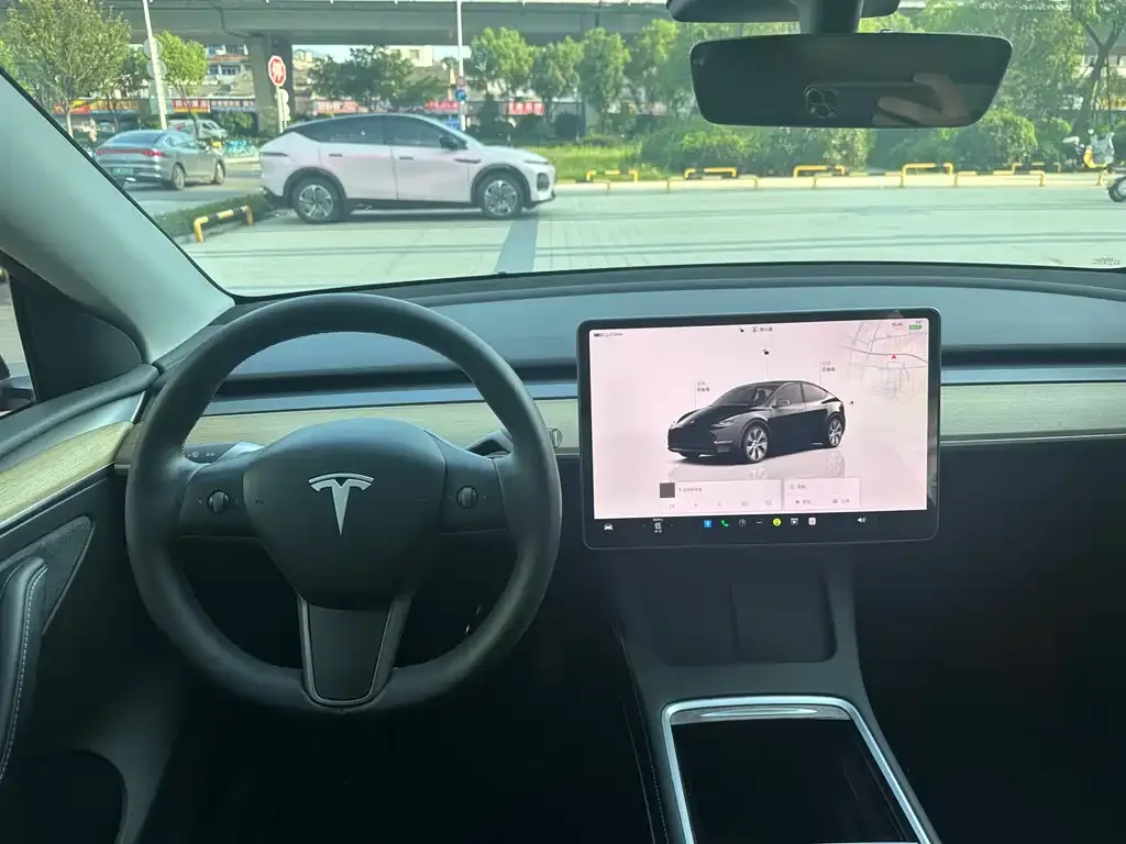 Tesla Model Y — фото 8