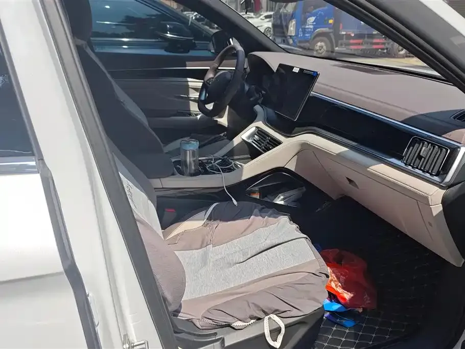 BYD PLUS New Energy 2025 из CN, фото 8