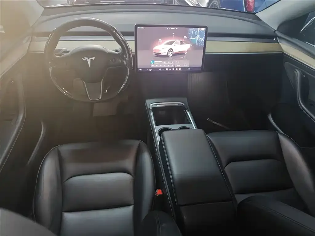 Tesla Model Y — фото 10