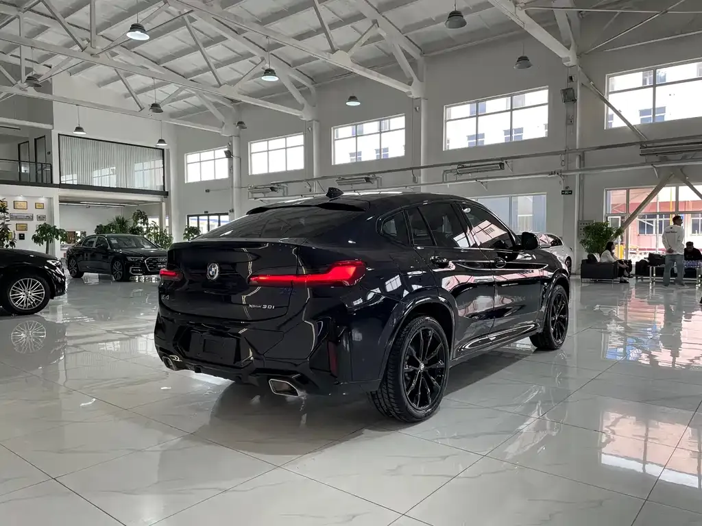 BMW X4 2024 из CN, фото 6