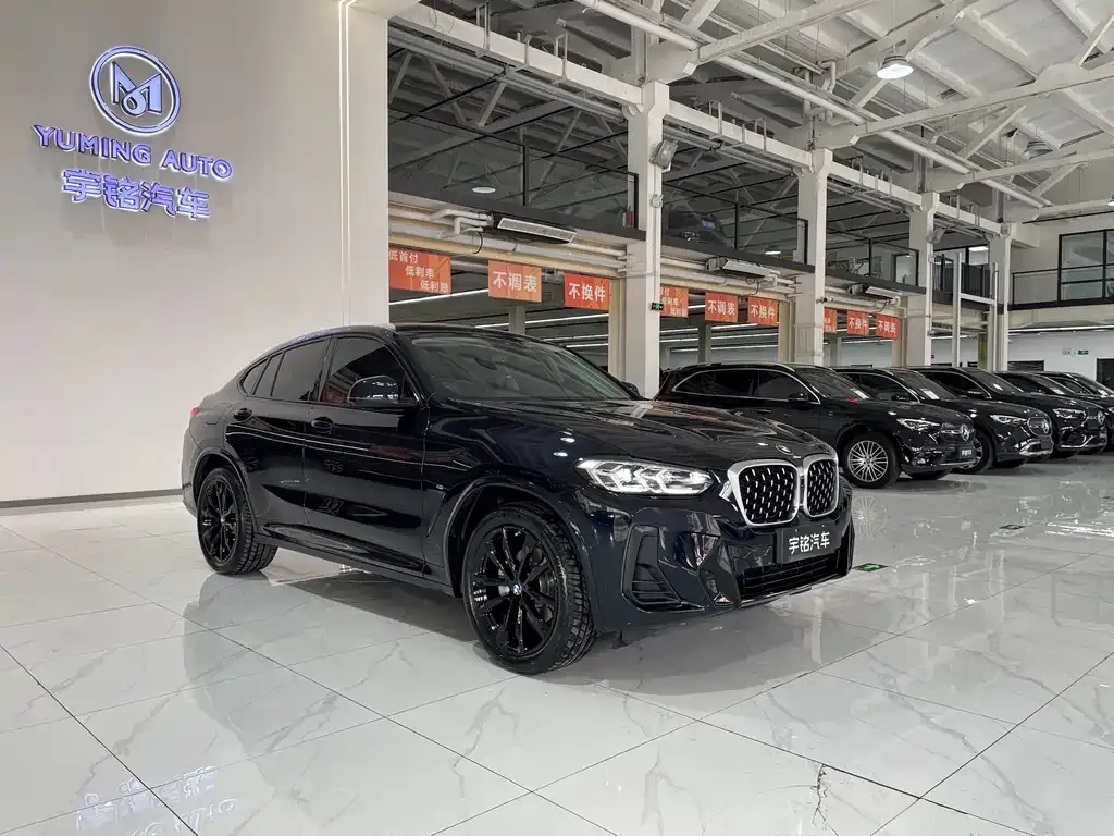BMW X4 2024 из CN, фото 7