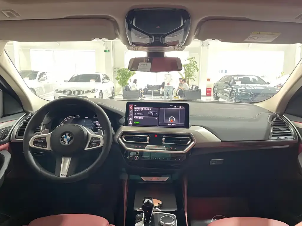 BMW X4 2024 из CN, фото 8