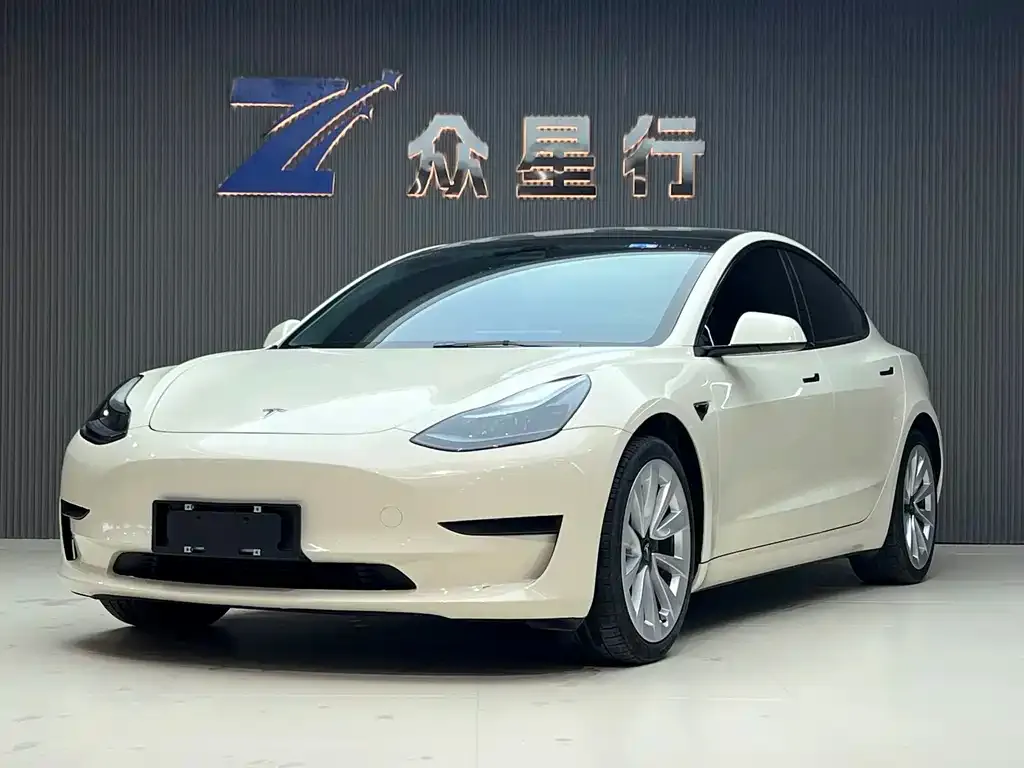 Tesla Model 3 2021 из CN, фото 1