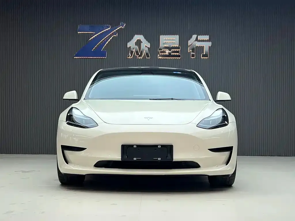 Tesla Model 3 2021 из CN, фото 2