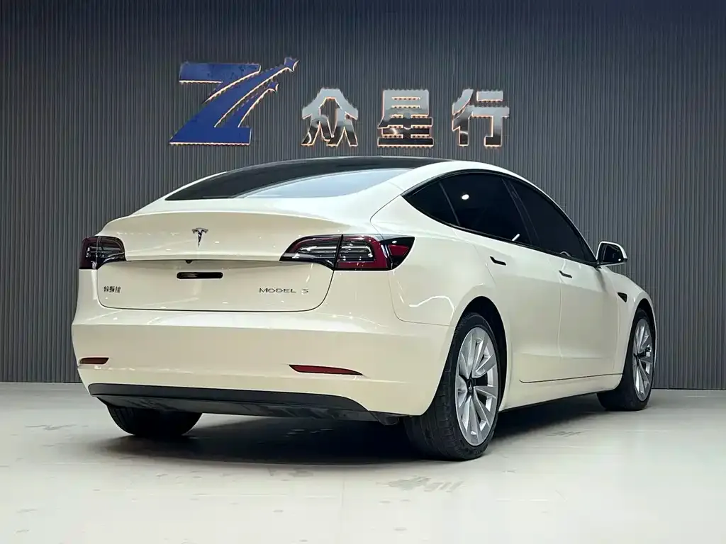 Tesla Model 3 2021 из CN, фото 3