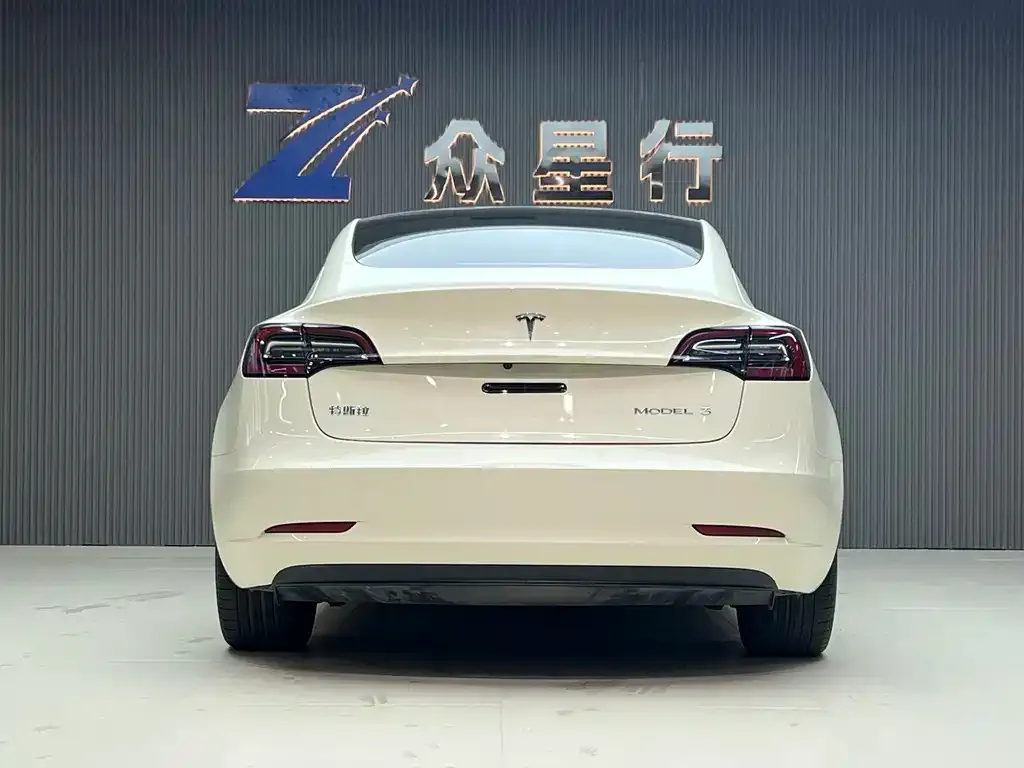 Tesla Model 3 2021 из CN, фото 4