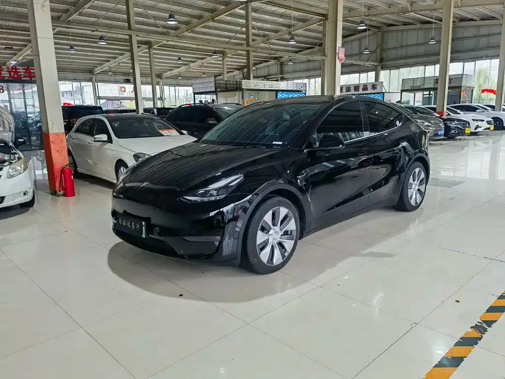 Tesla Model Y 2021 из CN, фото 1
