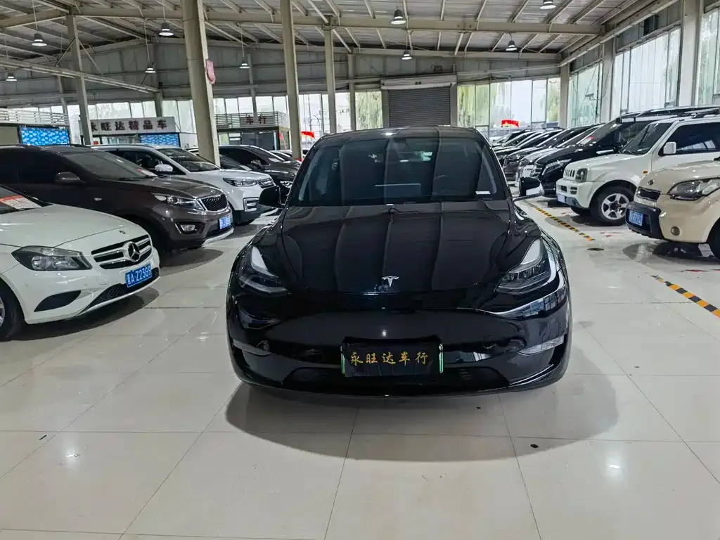 Tesla Model Y 2021 из CN, фото 2