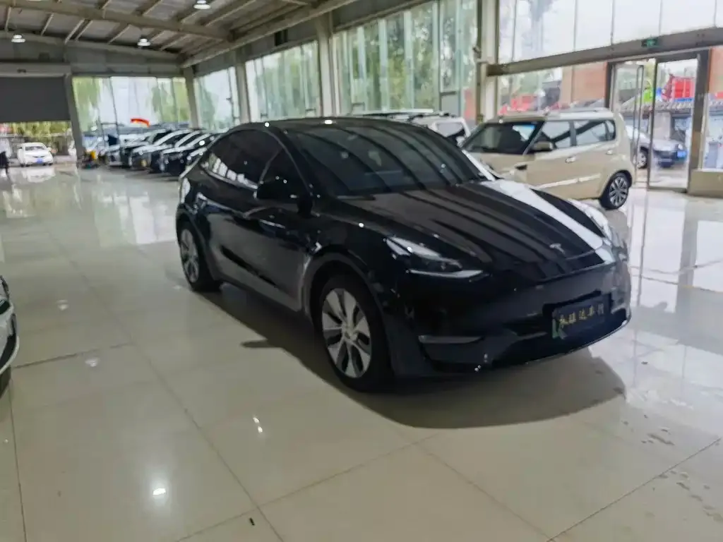 Tesla Model Y 2021 из CN, фото 3