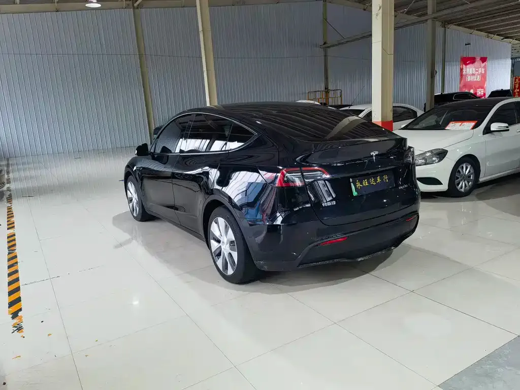 Tesla Model Y 2021 из CN, фото 4