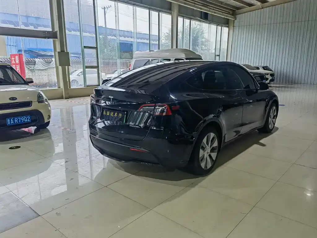 Tesla Model Y 2021 из CN, фото 6