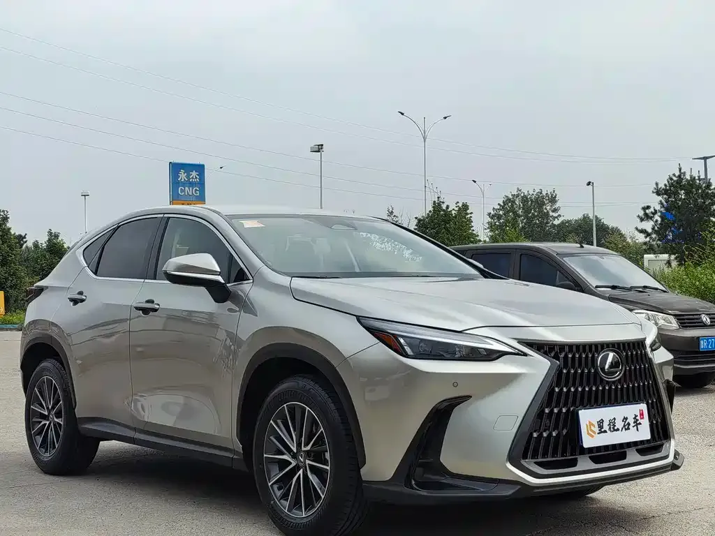Lexus NX 2023 из CN, фото 3