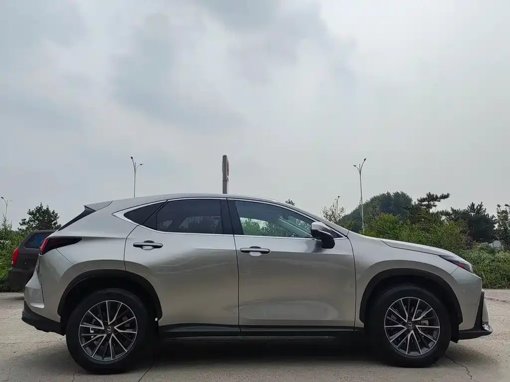 Lexus NX 2023 из CN, фото 4