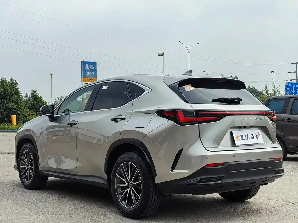 Lexus NX 2023 из CN, фото 8