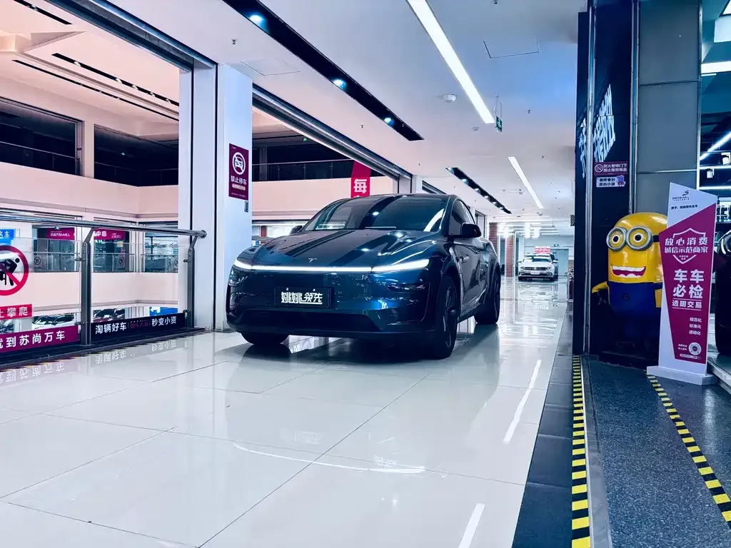 Tesla Model Y 2025 из CN, фото 1