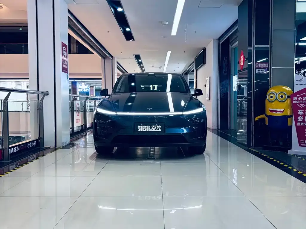 Tesla Model Y 2025 из CN, фото 2
