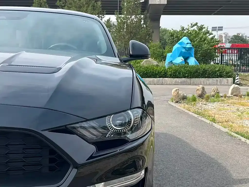 Ford Mustang 2021 из CN, фото 4