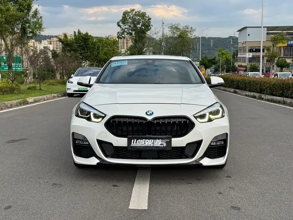 BMW 2 Series (Import) 2021 из CN, фото 3