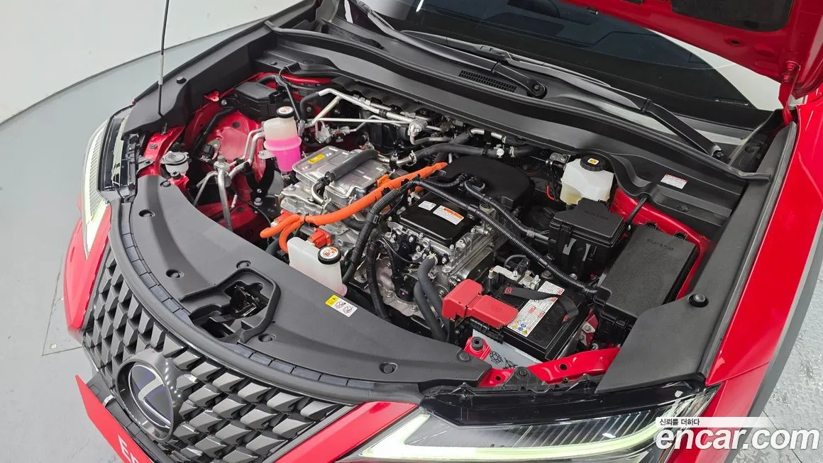 Lexus UX 2022 из KR, фото 6