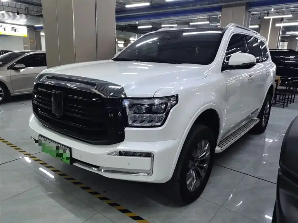 Tank 500 New Energy 2025 из CN, фото 2