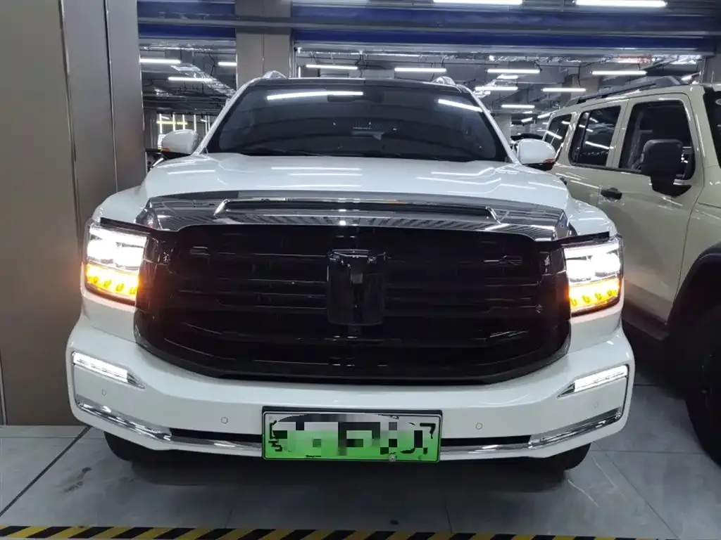 Tank 500 New Energy 2025 из CN, фото 3