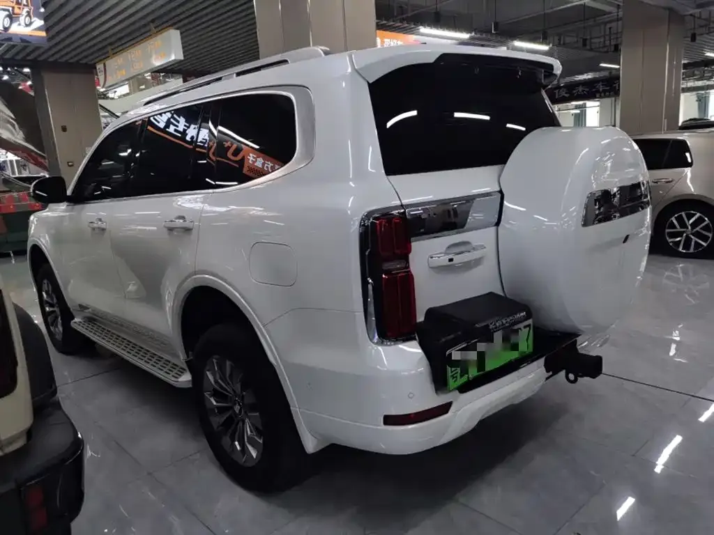 Tank 500 New Energy 2025 из CN, фото 5