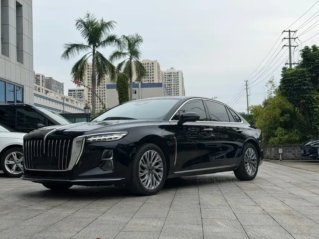 Hongqi H5 2022 из CN, фото 1