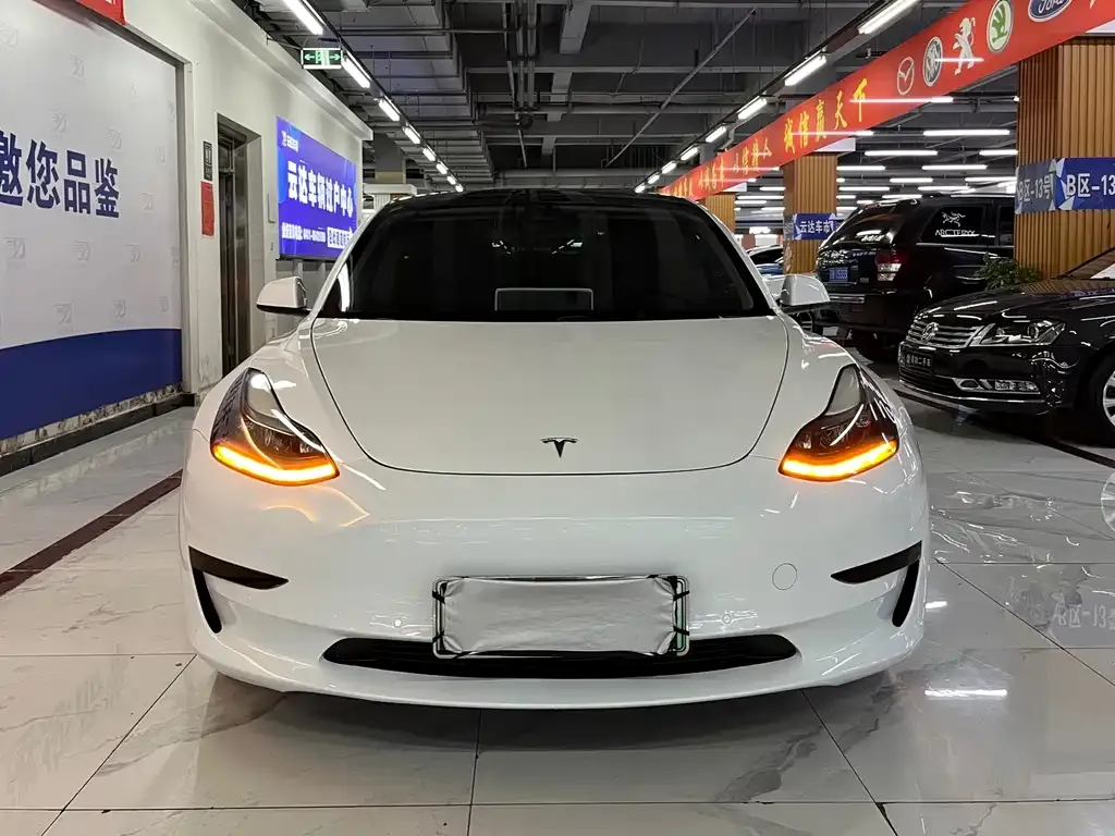Tesla Model 3 2021 из CN, фото 1