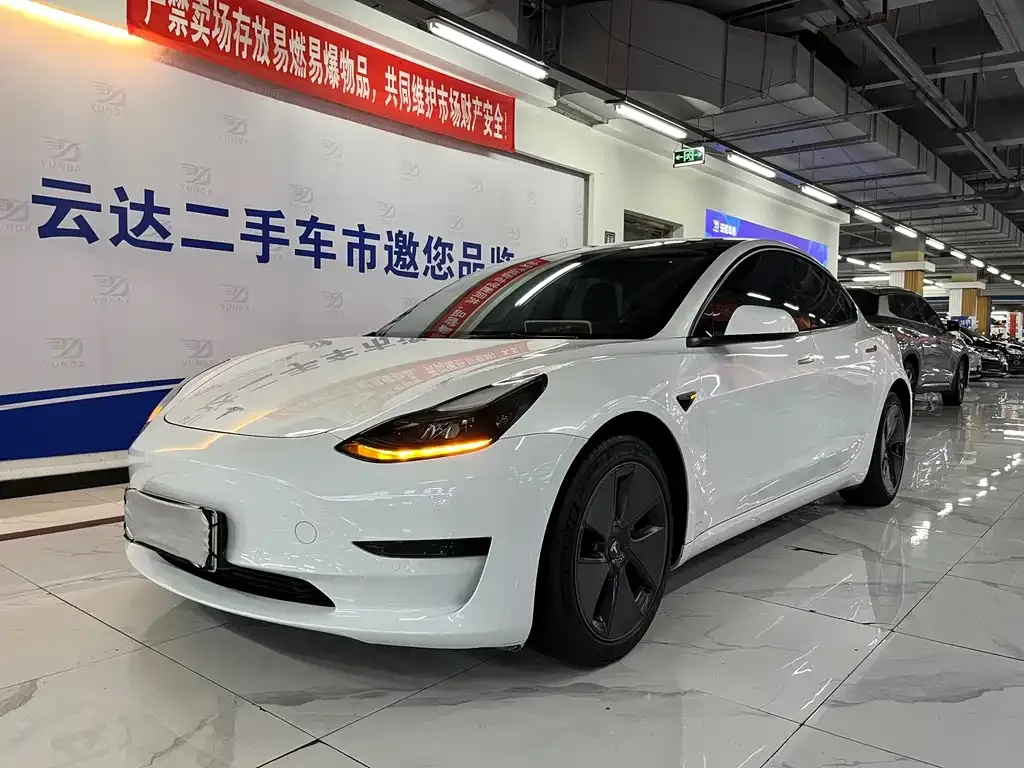 Tesla Model 3 2021 из CN, фото 2
