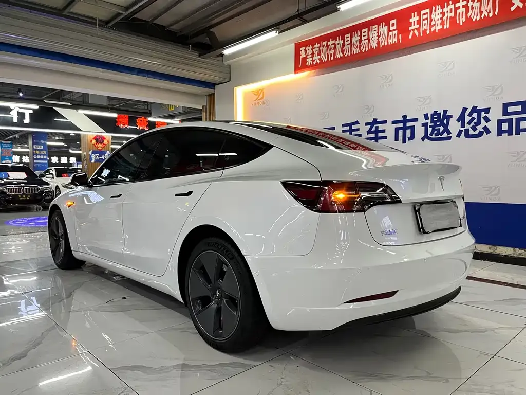 Tesla Model 3 2021 из CN, фото 3