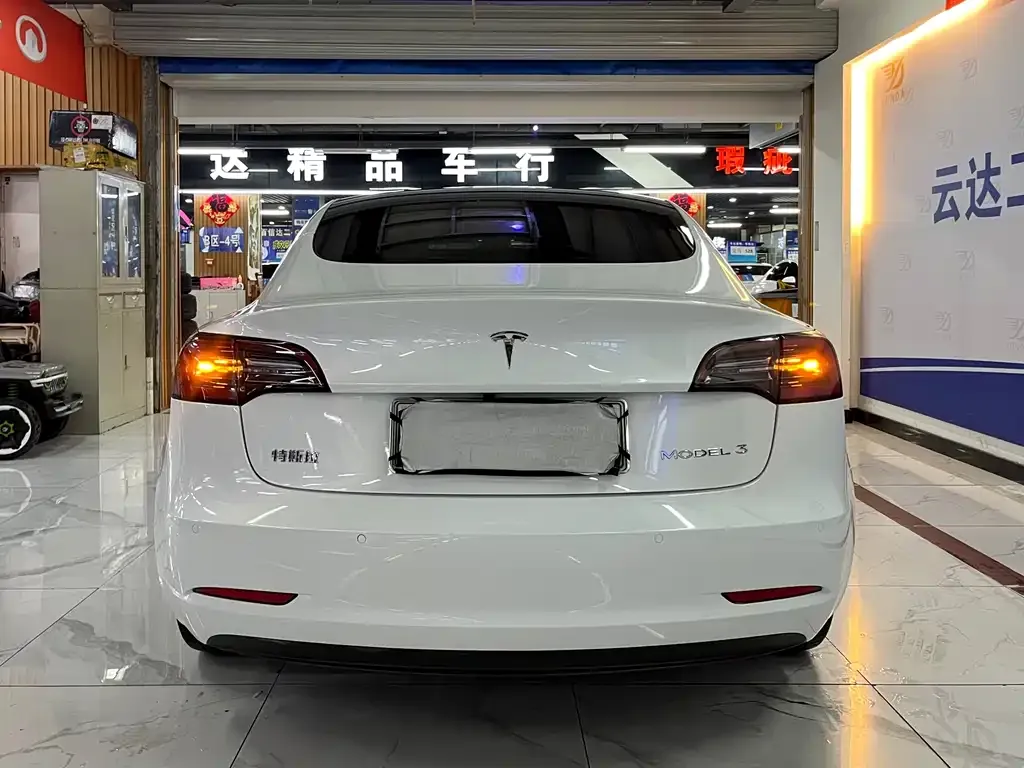 Tesla Model 3 2021 из CN, фото 4