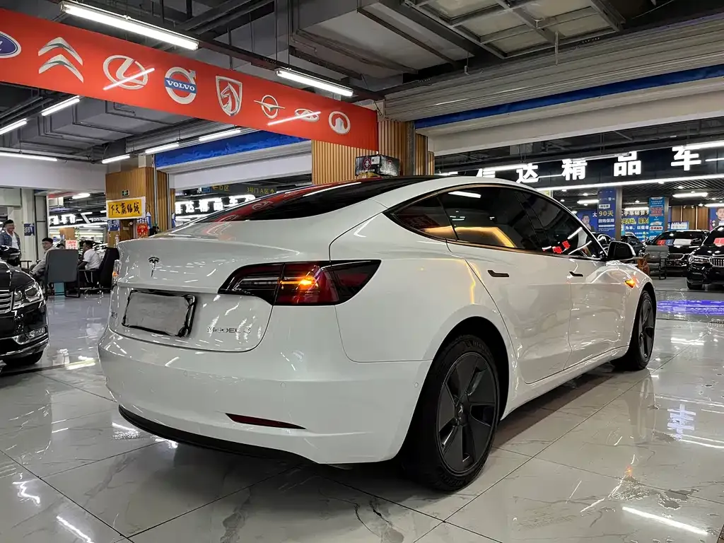 Tesla Model 3 2021 из CN, фото 5