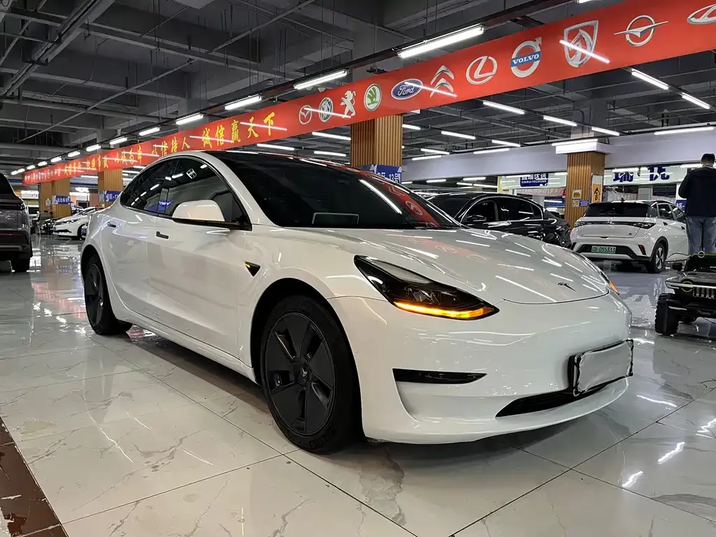 Tesla Model 3 2021 из CN, фото 6