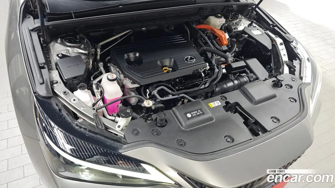 Lexus NX 2022 из KR, фото 6
