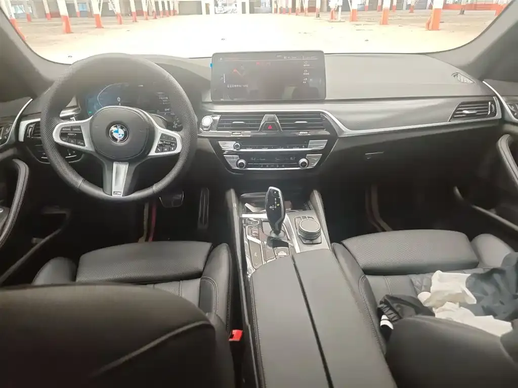 BMW 5 Series (Import) 2021 из CN, фото 10