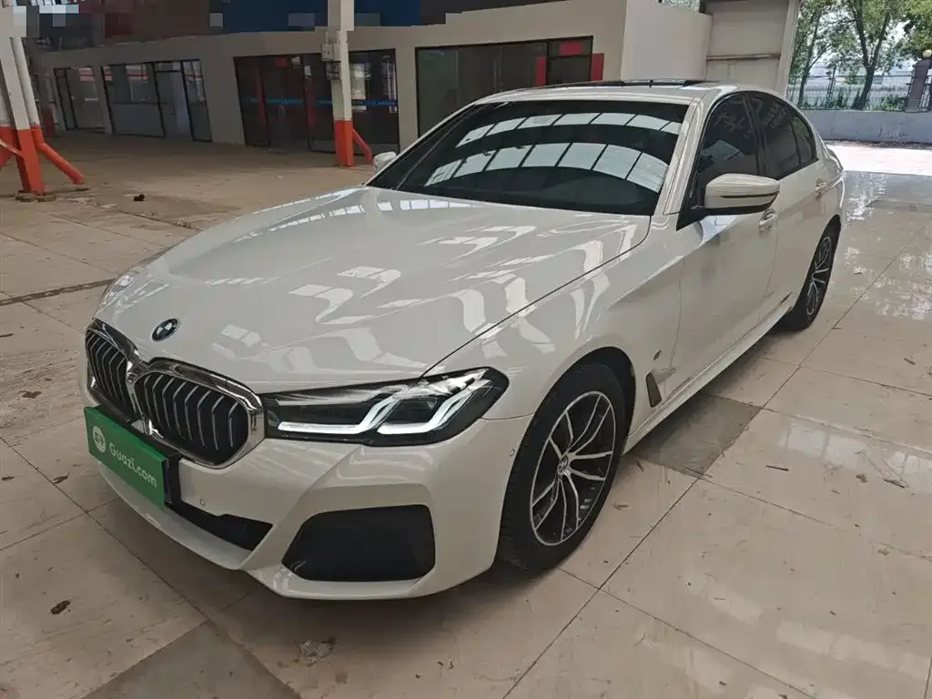 BMW 5 Series (Import) 2021 из CN, фото 2