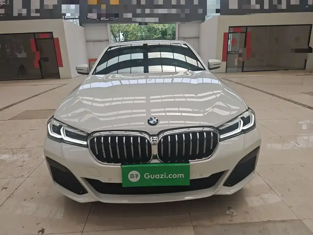 BMW 5 Series (Import) 2021 из CN, фото 3