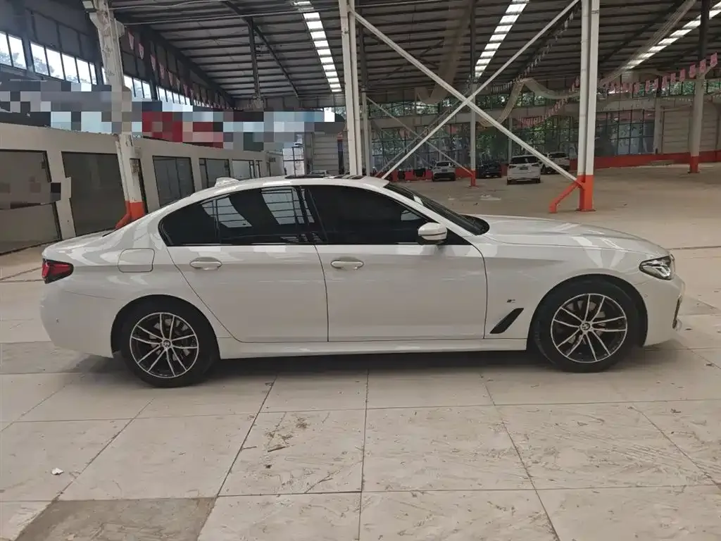 BMW 5 Series (Import) 2021 из CN, фото 4