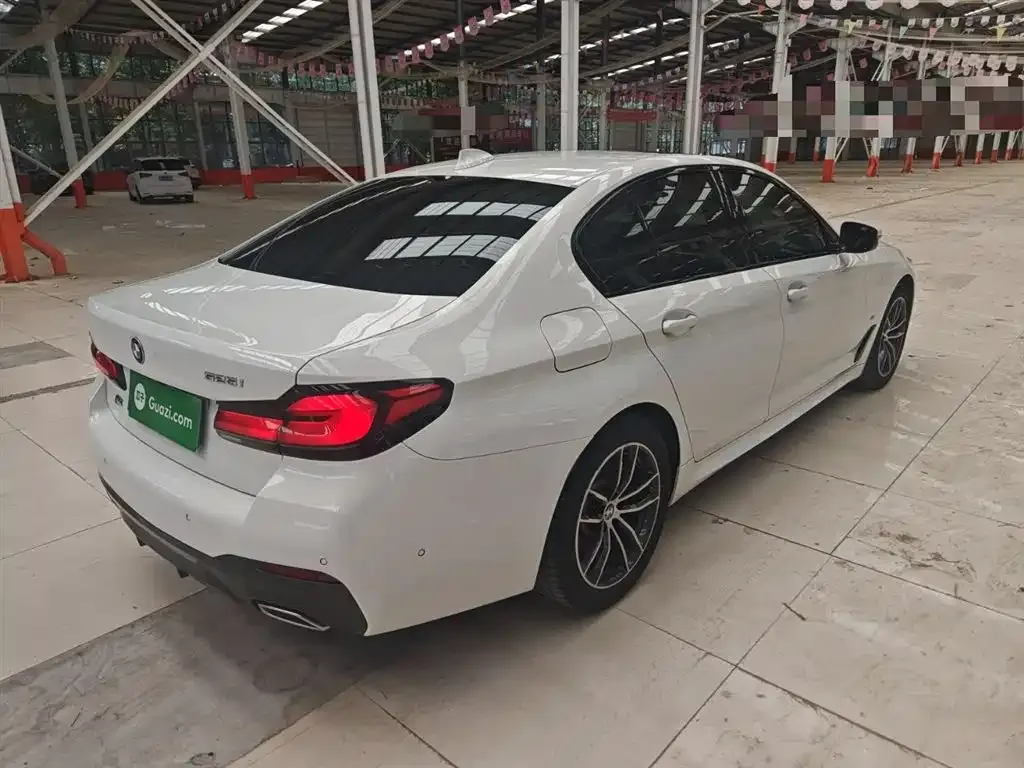 BMW 5 Series (Import) 2021 из CN, фото 5