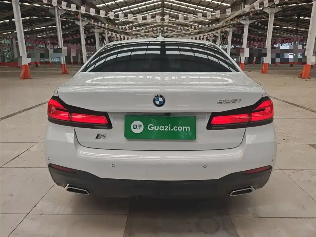 BMW 5 Series (Import) 2021 из CN, фото 6