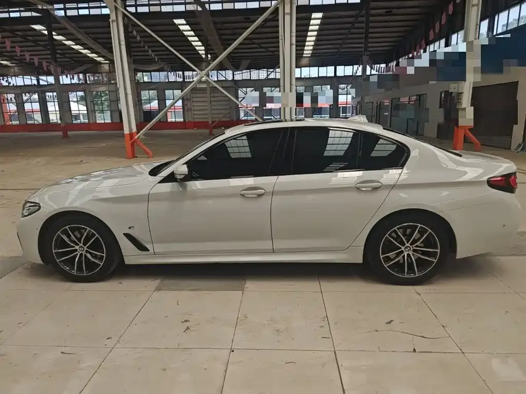 BMW 5 Series (Import) 2021 из CN, фото 7