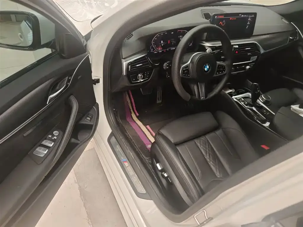 BMW 5 Series (Import) 2021 из CN, фото 9