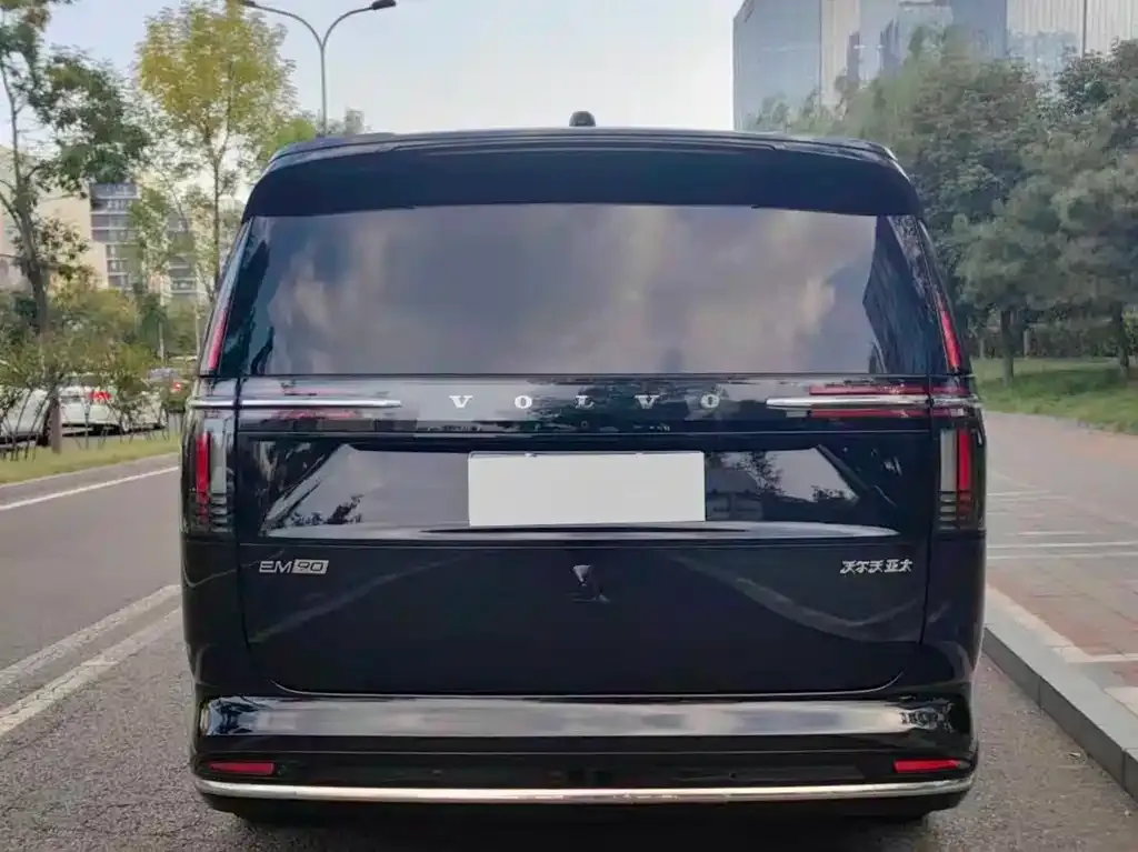 Volvo EM90 2025 из CN, фото 6