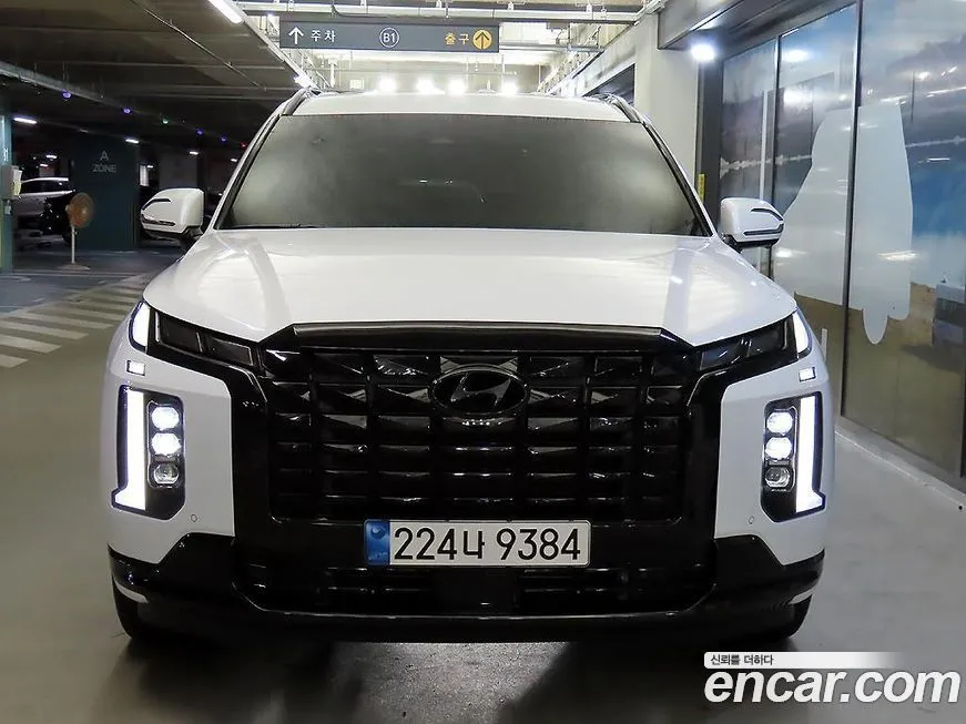 [object Object] Palisade 2024 из KR, фото 2