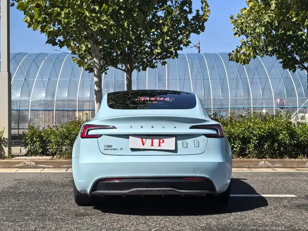 Tesla Model 3 2024 из CN, фото 8