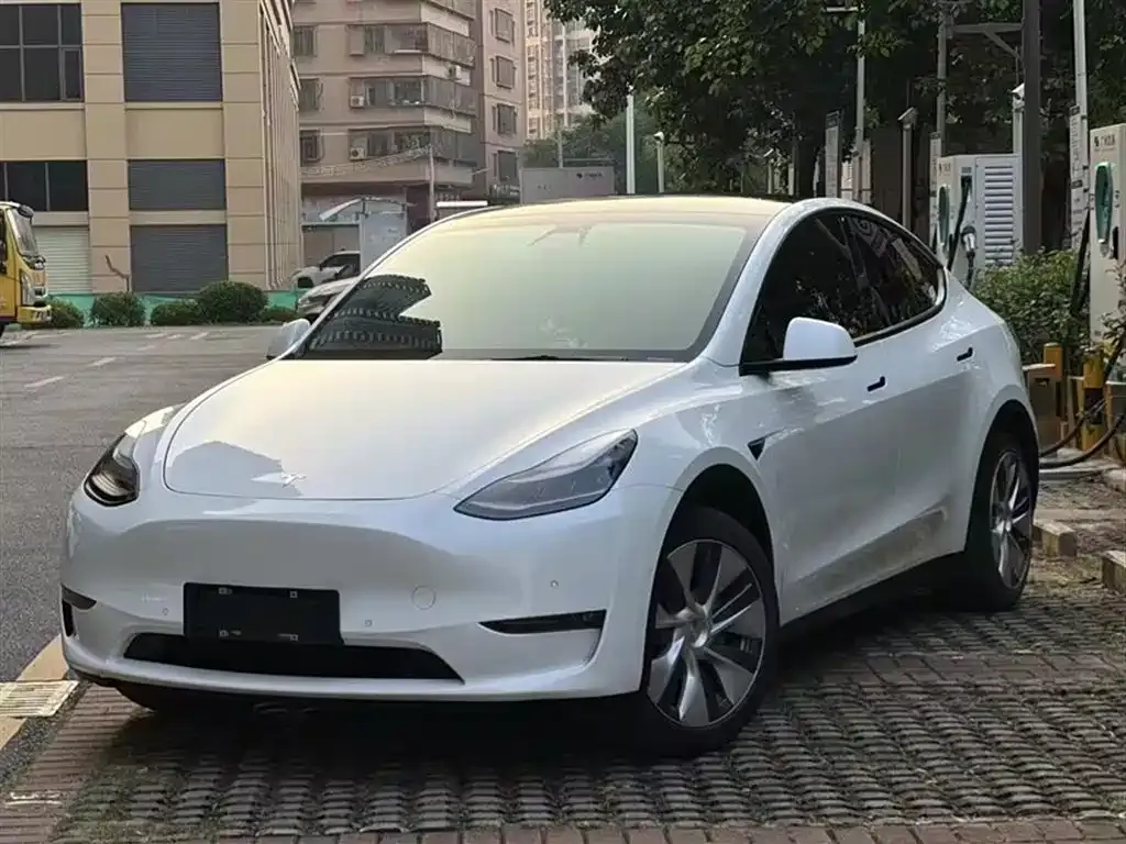 Tesla Model Y 2021 из CN, фото 1